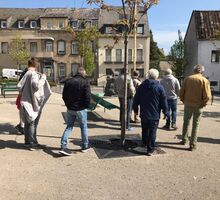 Dorfentwicklung in Bell