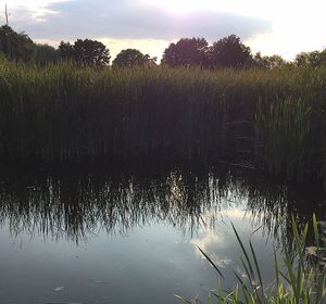 Naherholung und Naturschutz Thürer Wiesen